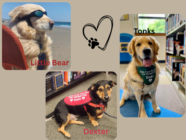 3 Therapy Dogs