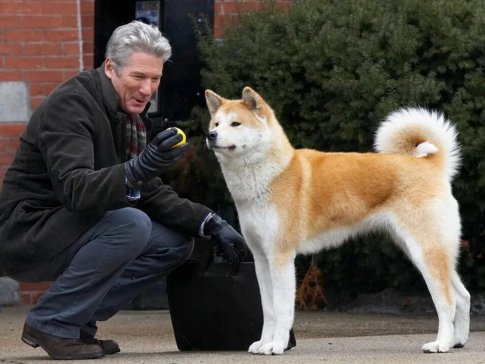 Hachi: A Dog's Tale Movie Still